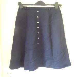 Dark Blue Skirt