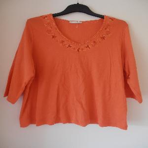 Tangerine Top