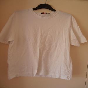 White T Shirt